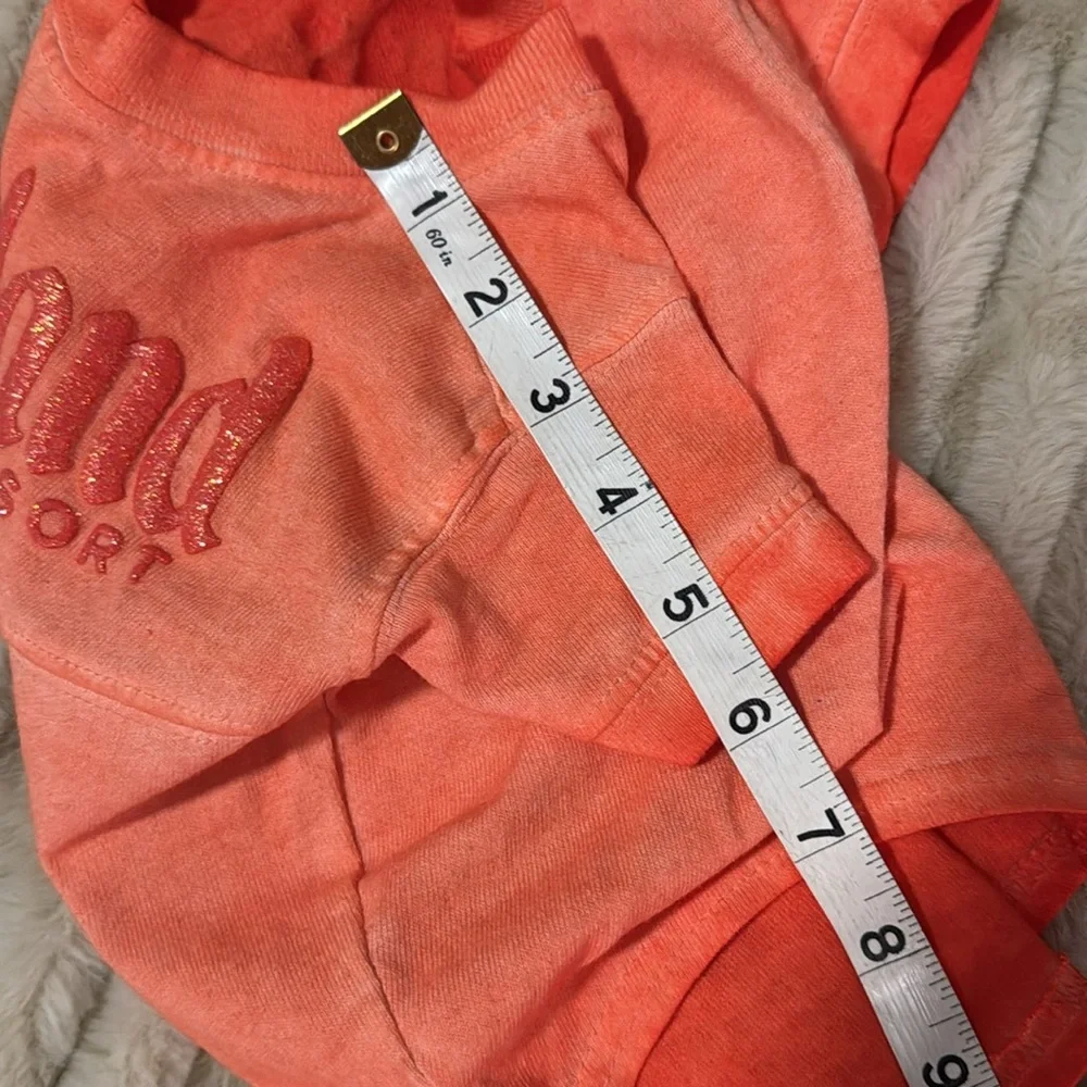 Disneyland Orange ombré Pet T-Shirt (small)